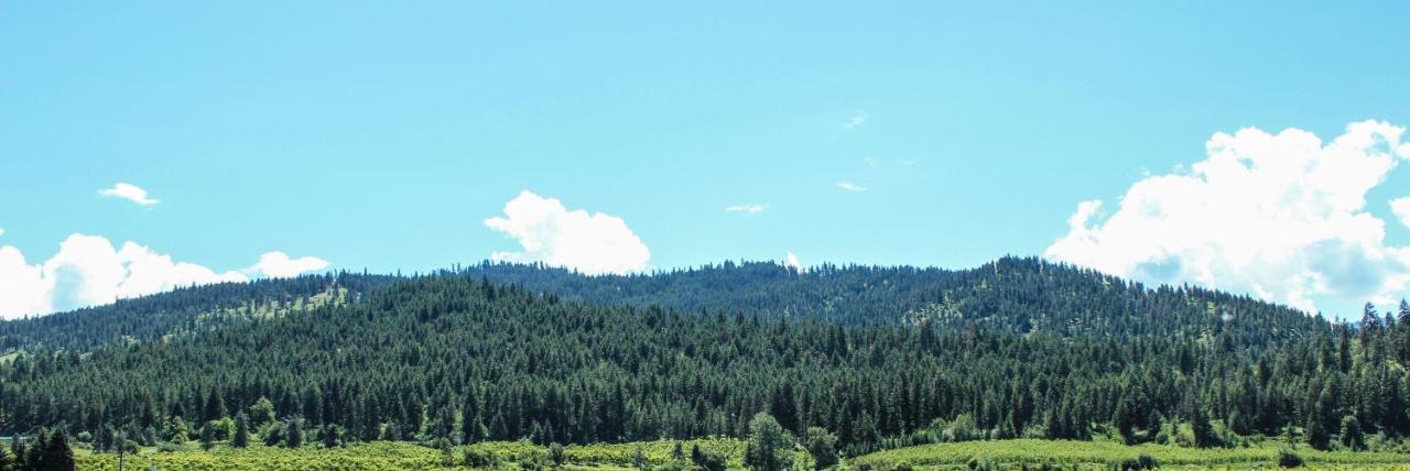 Wedge Mountain Inn Peshastin Buitenkant foto